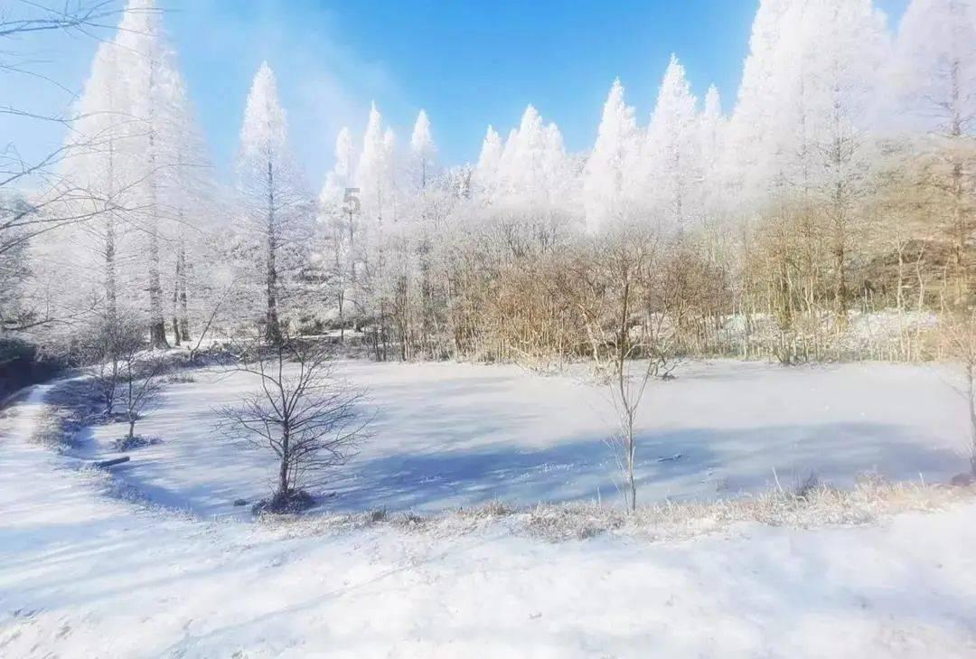 戳泡泡练口算