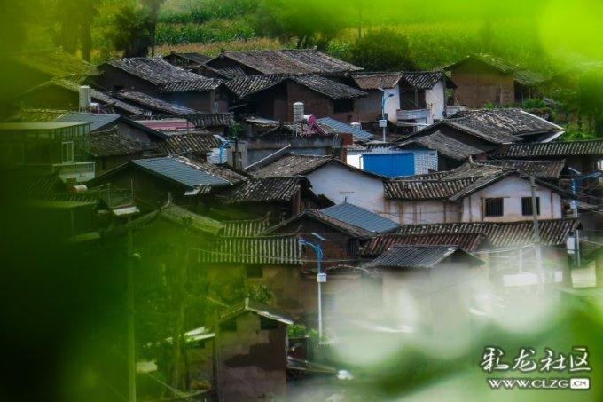 影子战术将军之刃