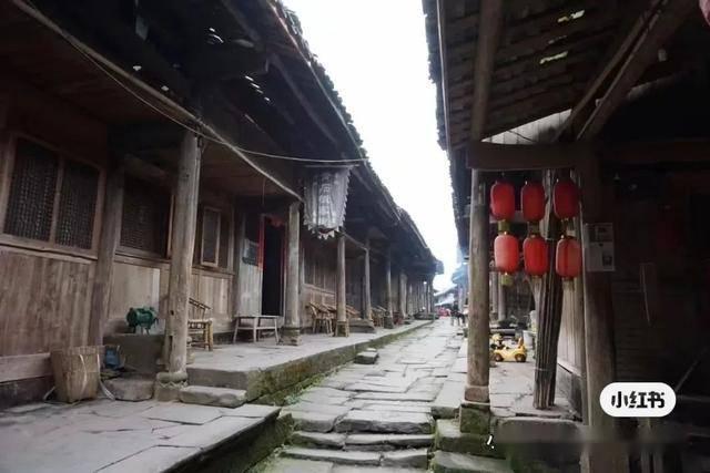人类：一败涂地